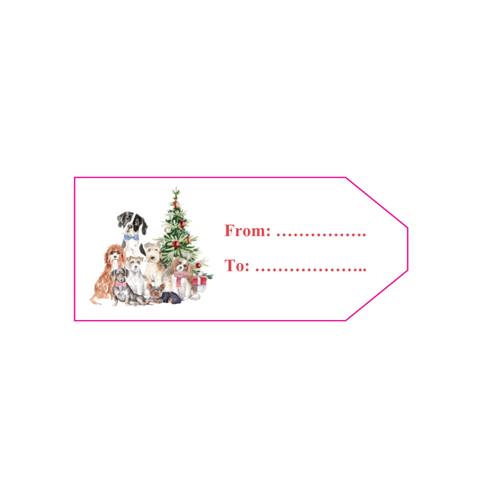 Christmas Companions Wrap from the Cinnamon Trust Charity Webshop | Make a difference with every purchase