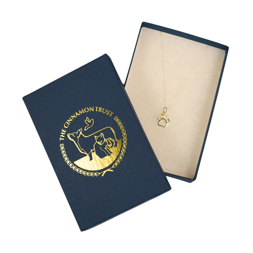 Paw Print Necklace Sterling Silver from the Cinnamon Trust Charity Webshop | Make a difference with every purchase
