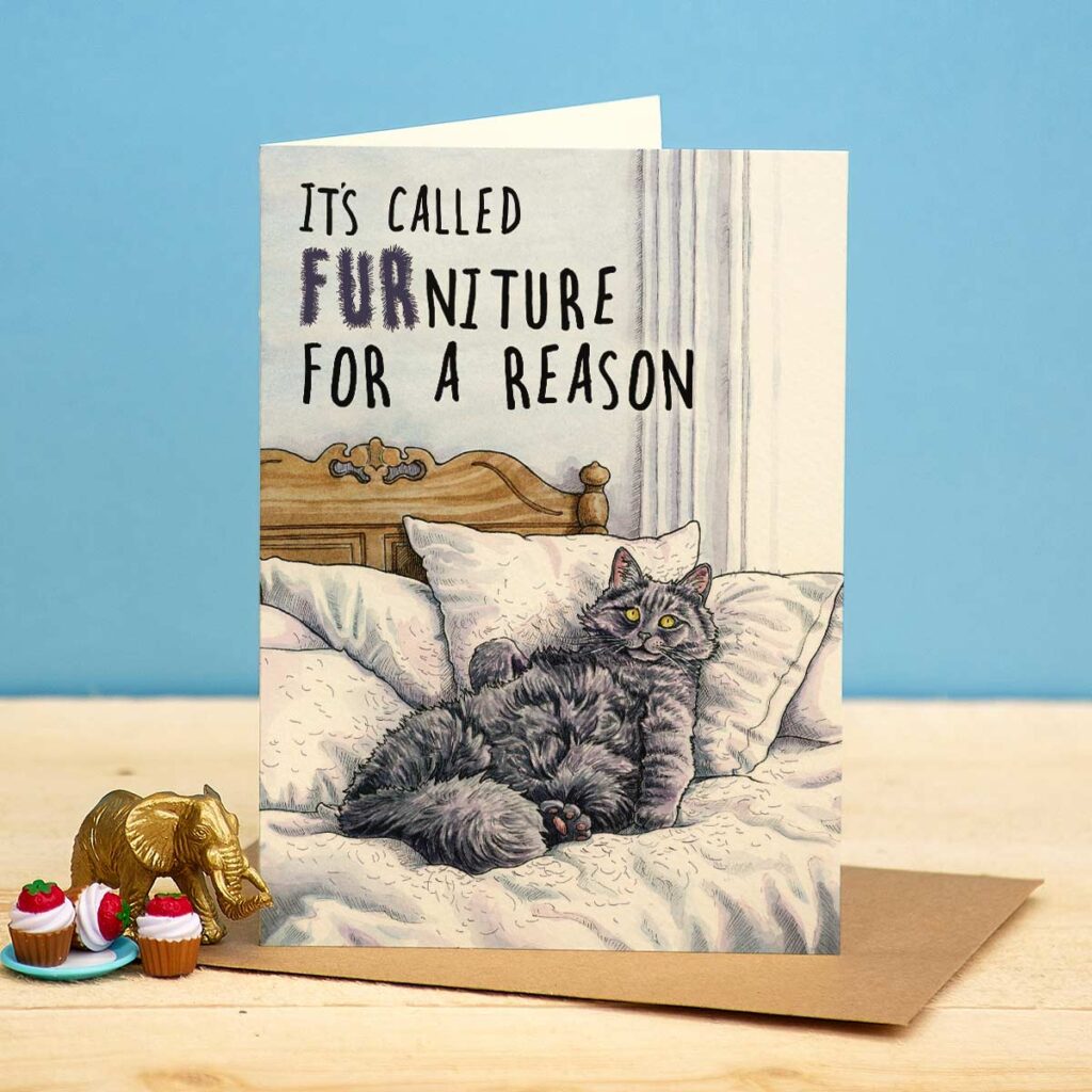 FURniture Cat Card from the Cinnamon Trust Charity Webshop | Make a difference with every purchase