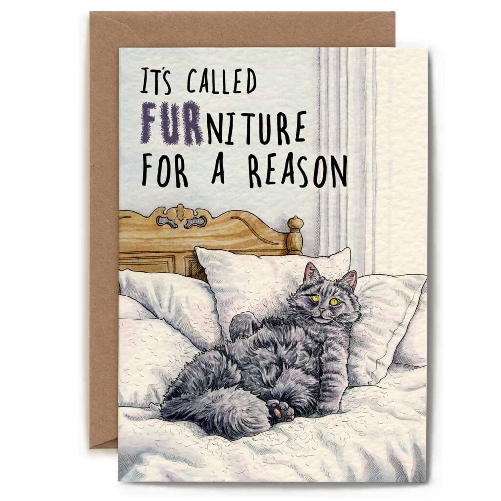 FURniture Cat Card from the Cinnamon Trust Charity Webshop | Make a difference with every purchase