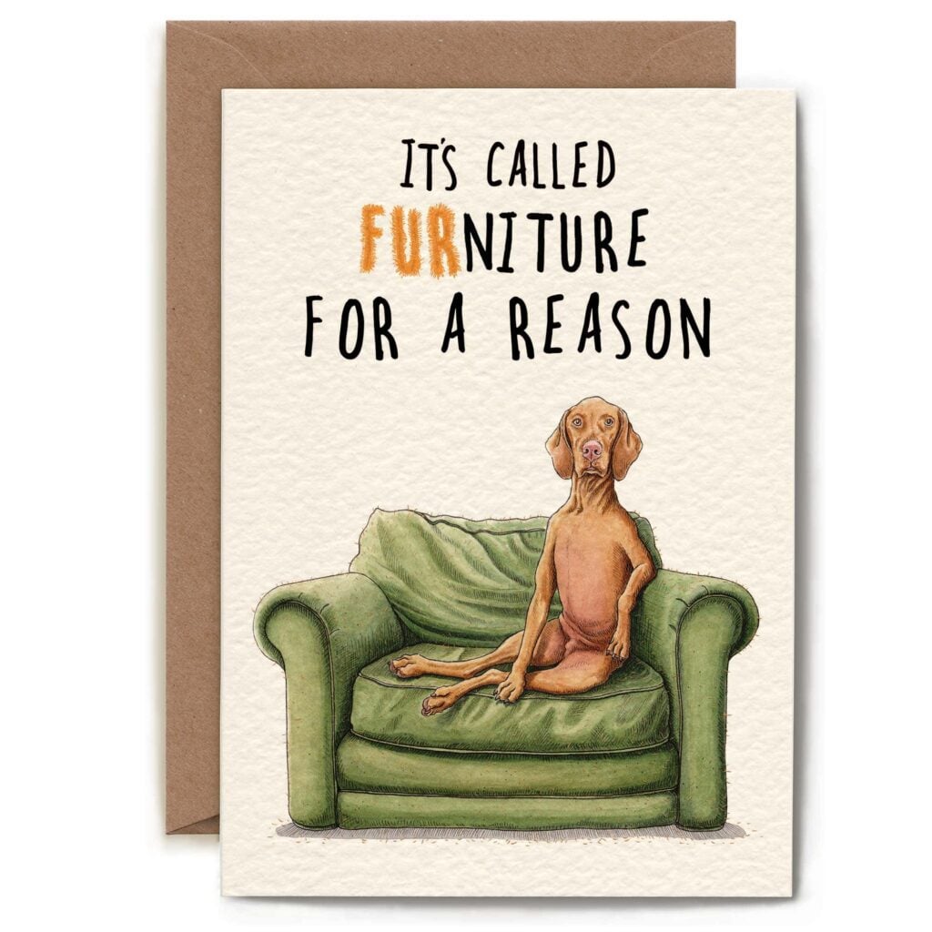 FURniture Dog Card from the Cinnamon Trust Charity Webshop | Make a difference with every purchase