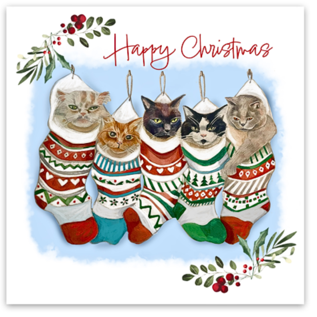 Christmas Stocking Card Pack from the Cinnamon Trust Charity Webshop | Make a difference with every purchase