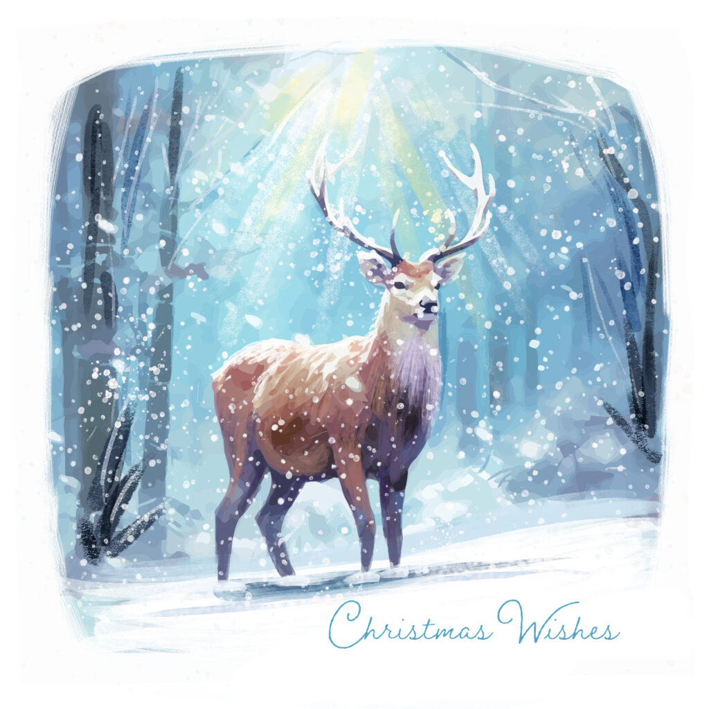 Christmas In The Woods Twin Pack from the Cinnamon Trust Charity Webshop | Make a difference with every purchase