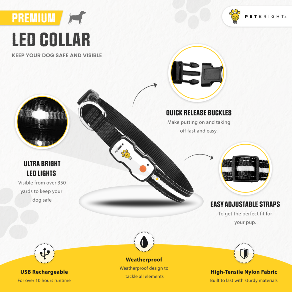 LED Dog Collar from the Cinnamon Trust Charity Webshop | Make a difference with every purchase