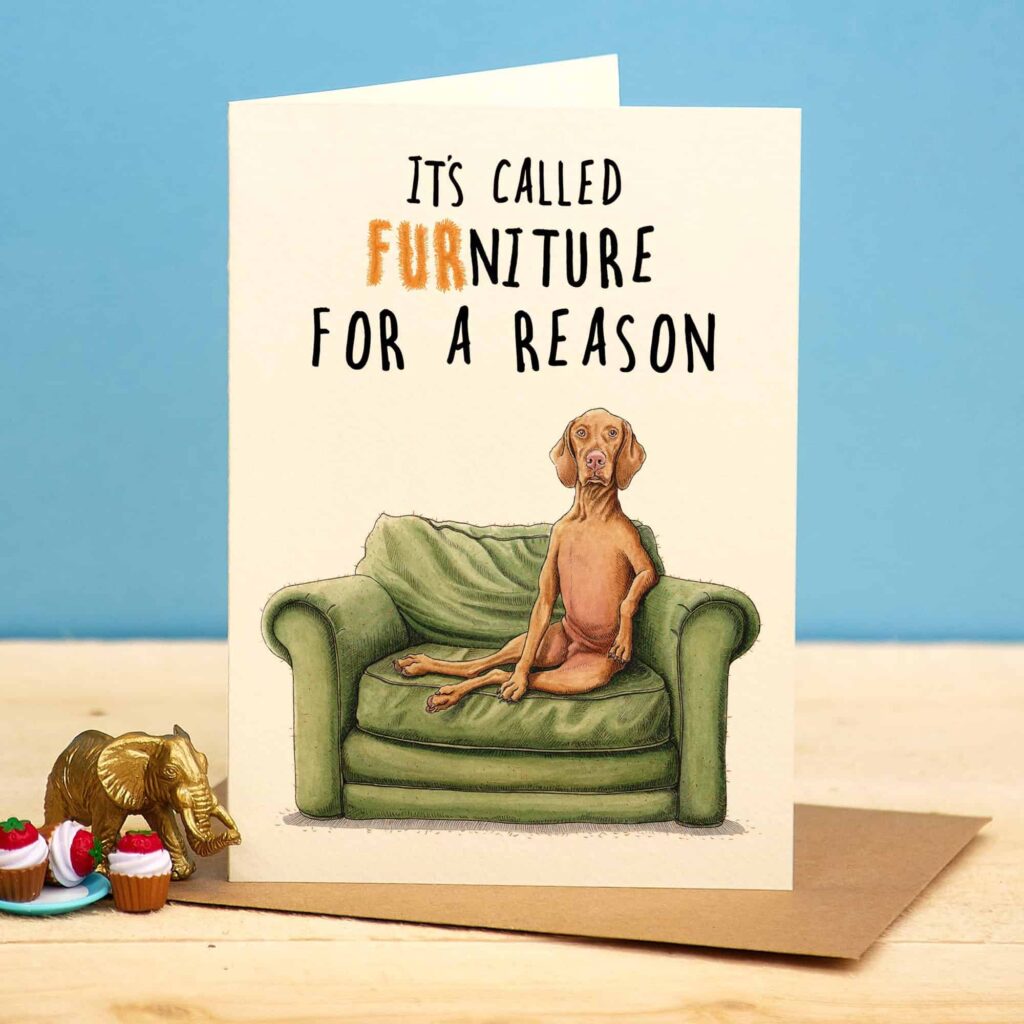 FURniture Dog Card from the Cinnamon Trust Charity Webshop | Make a difference with every purchase