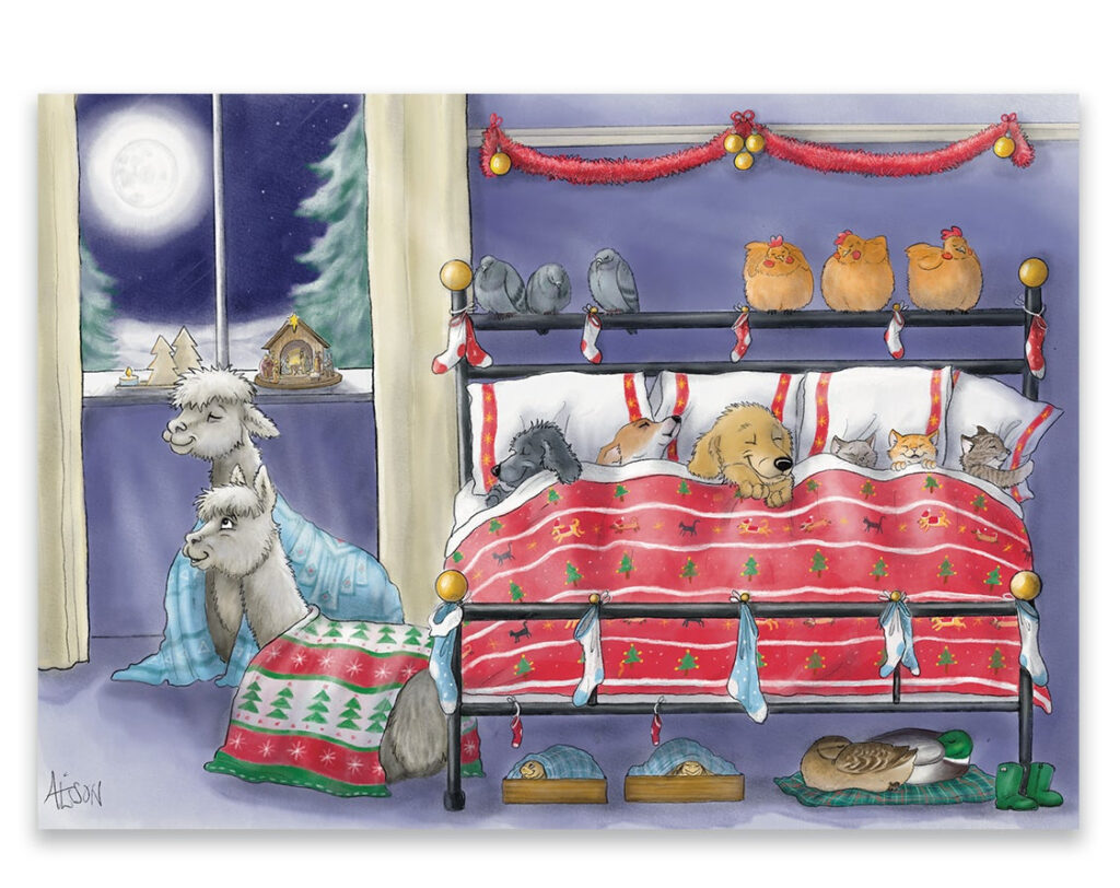 The Night Before Christmas from the Cinnamon Trust Charity Webshop | Make a difference with every purchase