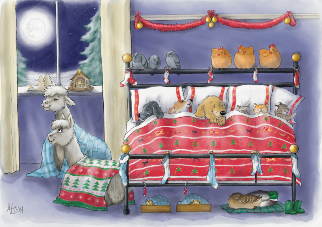 The Night Before Christmas from the Cinnamon Trust Charity Webshop | Make a difference with every purchase