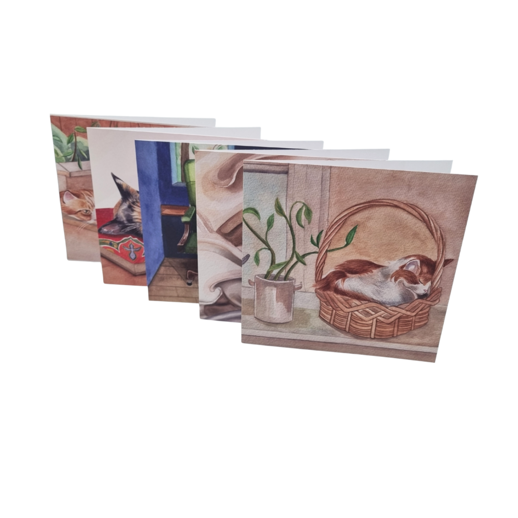 Cats Multi Card Pack from the Cinnamon Trust Charity Webshop | Make a difference with every purchase