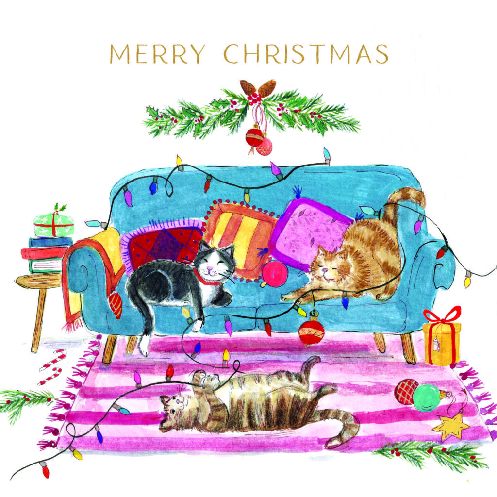 Cats Playful Christmas from the Cinnamon Trust Charity Webshop | Make a difference with every purchase