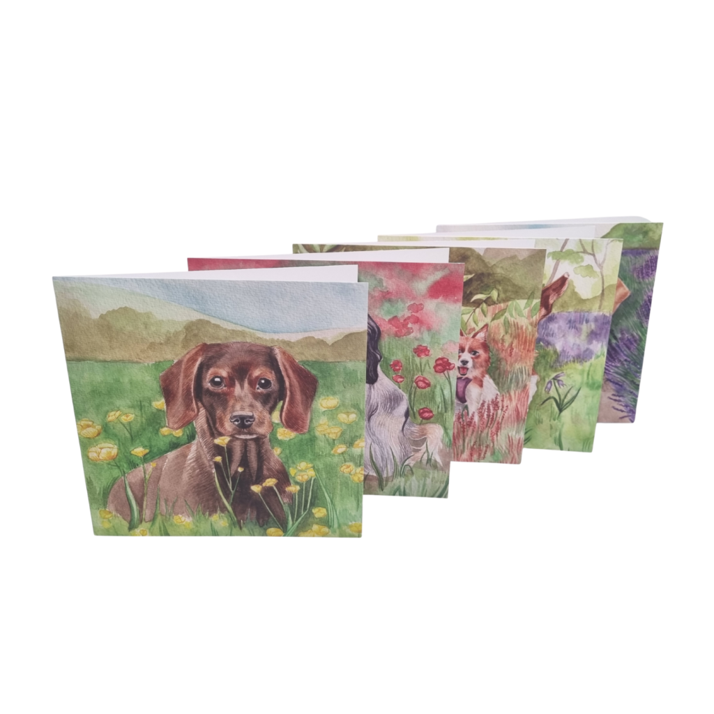 Dogs Multi Card Pack from the Cinnamon Trust Charity Webshop | Make a difference with every purchase