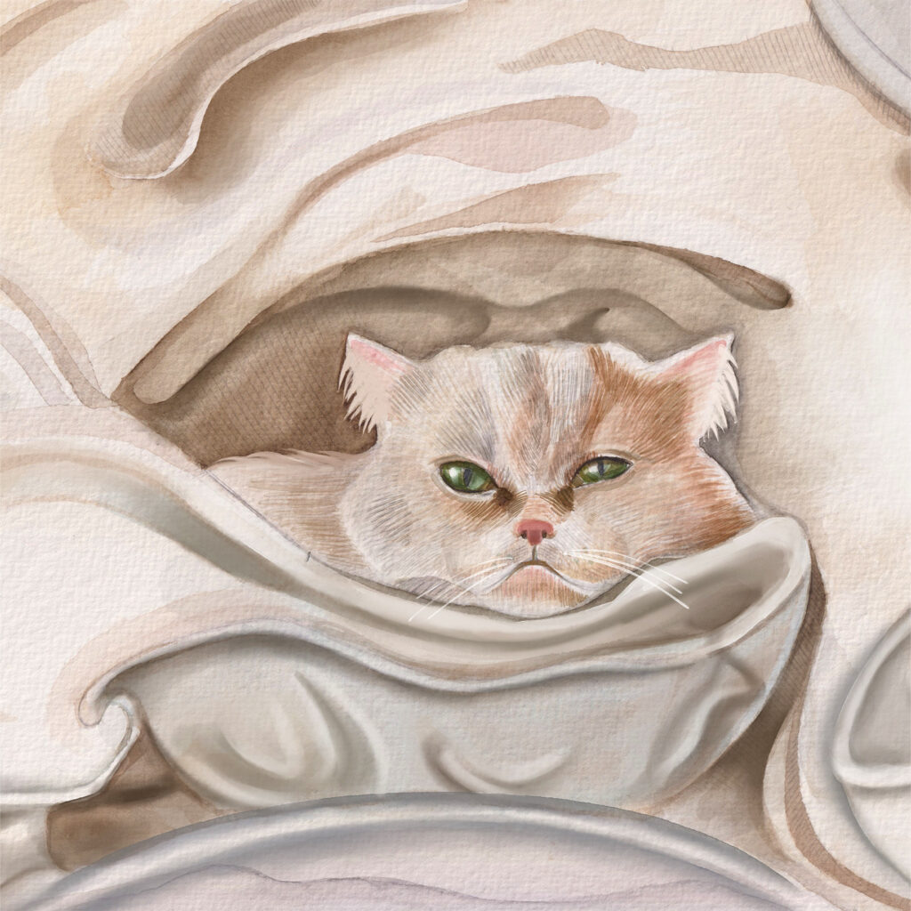 Cats Multi Card Pack from the Cinnamon Trust Charity Webshop | Make a difference with every purchase