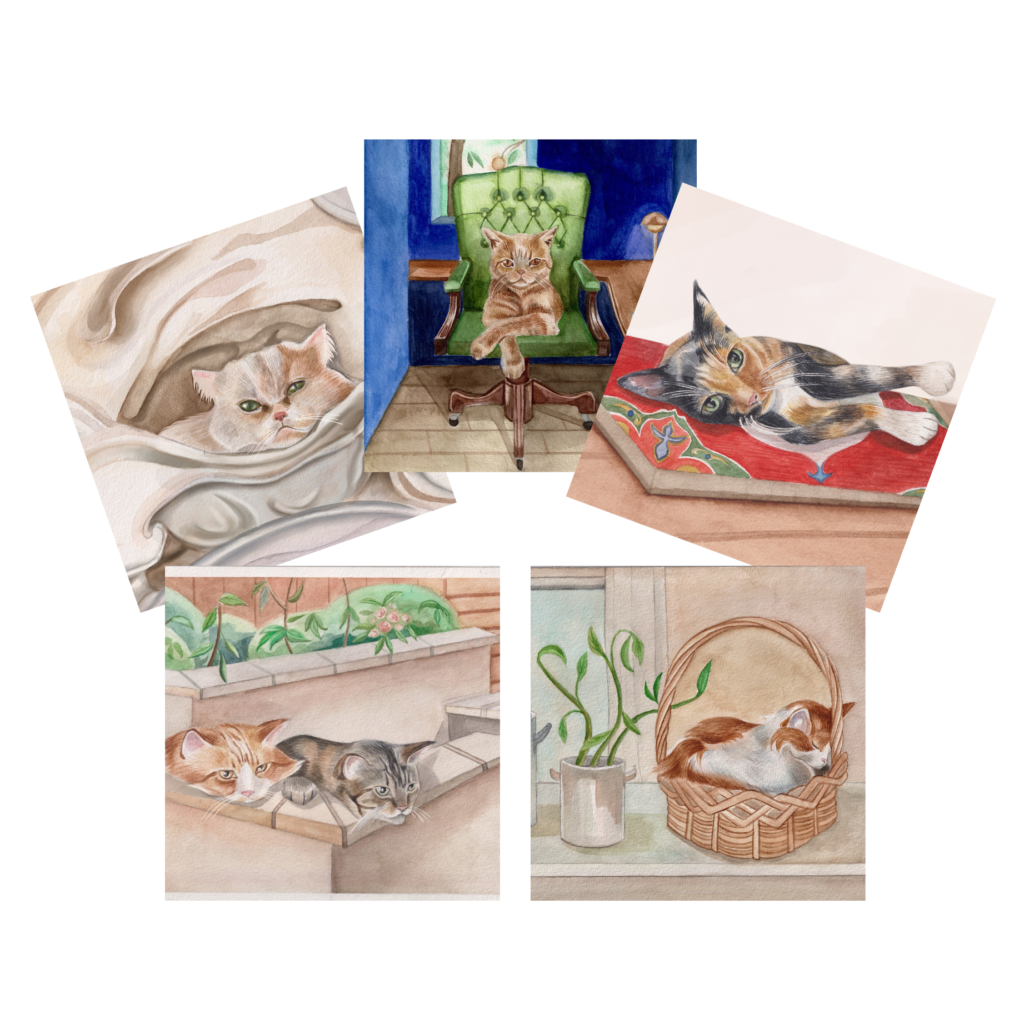 Cats Multi Card Pack from the Cinnamon Trust Charity Webshop | Make a difference with every purchase
