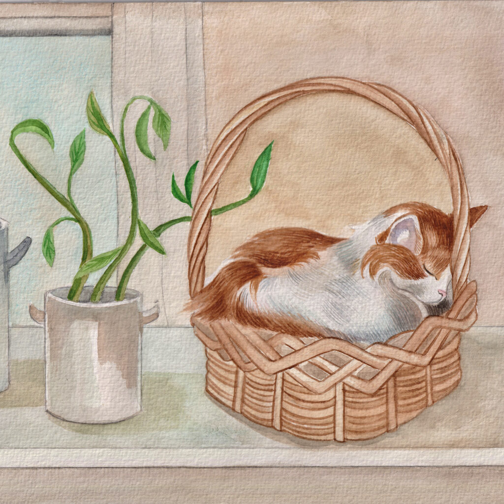 Cats Multi Card Pack from the Cinnamon Trust Charity Webshop | Make a difference with every purchase
