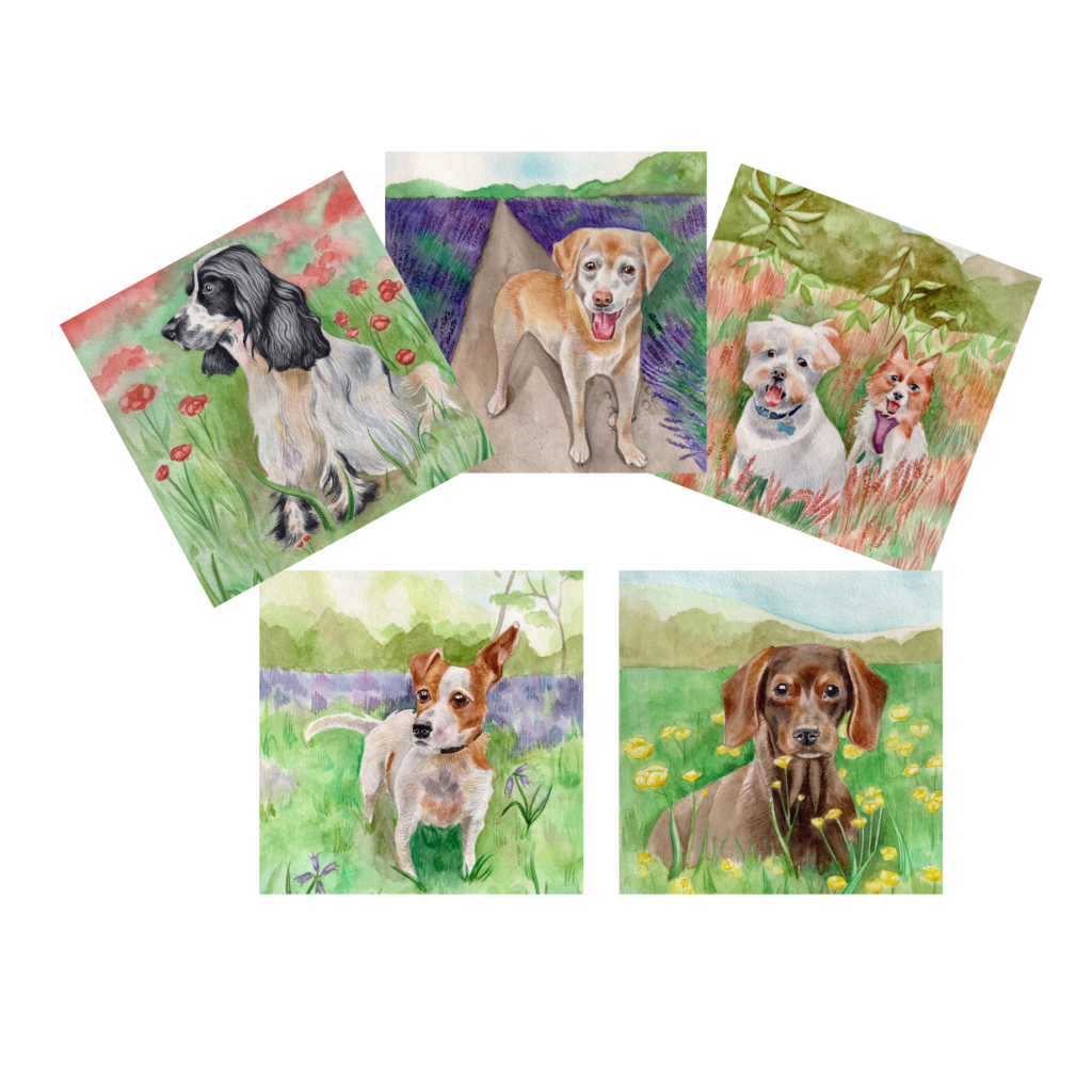 Dogs Multi Card Pack from the Cinnamon Trust Charity Webshop | Make a difference with every purchase