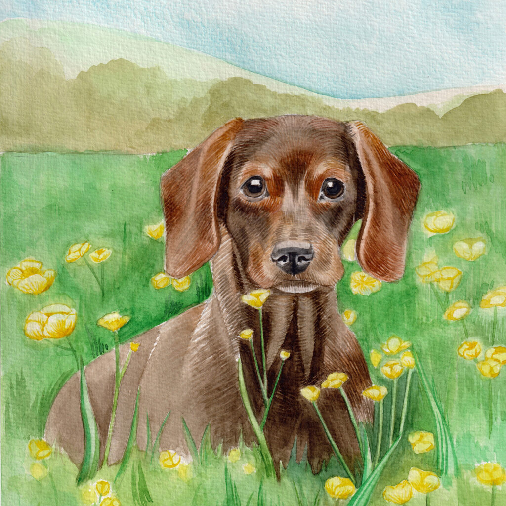 Dogs Multi Card Pack from the Cinnamon Trust Charity Webshop | Make a difference with every purchase