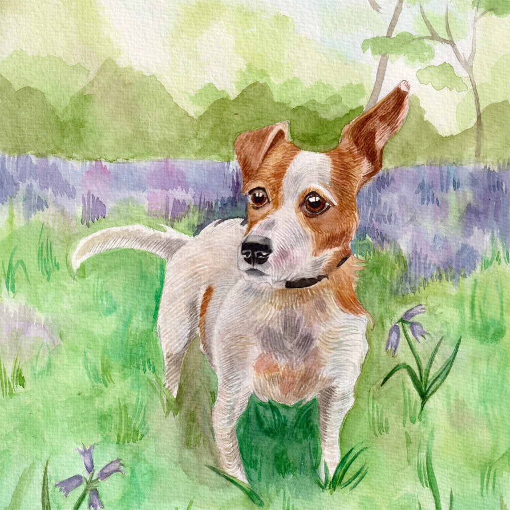 Dogs Multi Card Pack from the Cinnamon Trust Charity Webshop | Make a difference with every purchase