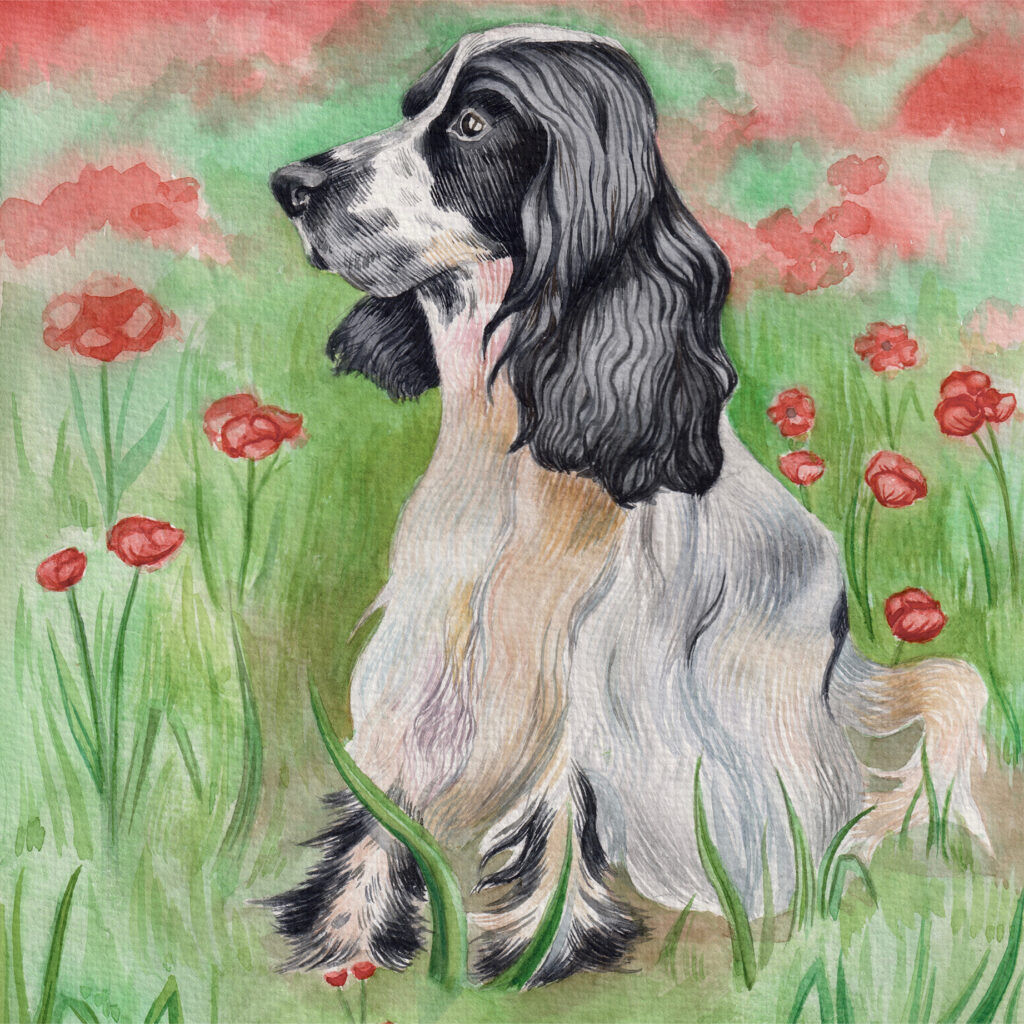 Dogs Multi Card Pack from the Cinnamon Trust Charity Webshop | Make a difference with every purchase