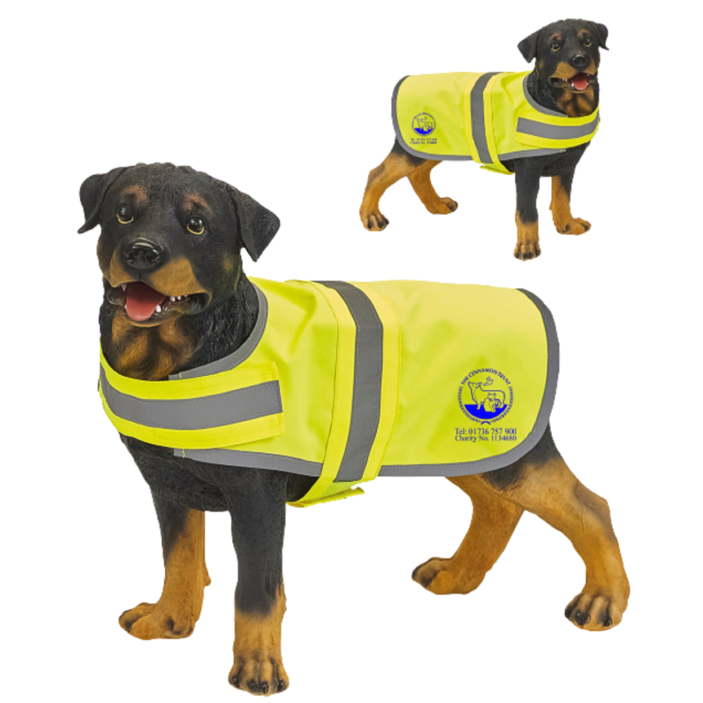 Cinnamon Trust High Visibility Dog Coat from the Cinnamon Trust Charity Webshop | Make a difference with every purchase
