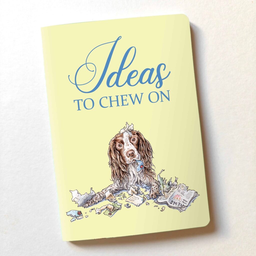 Ideas To Chew On from the Cinnamon Trust Charity Webshop | Make a difference with every purchase