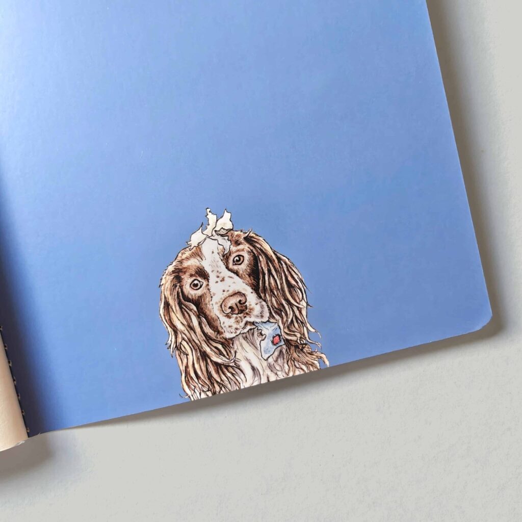 Ideas To Chew On from the Cinnamon Trust Charity Webshop | Make a difference with every purchase