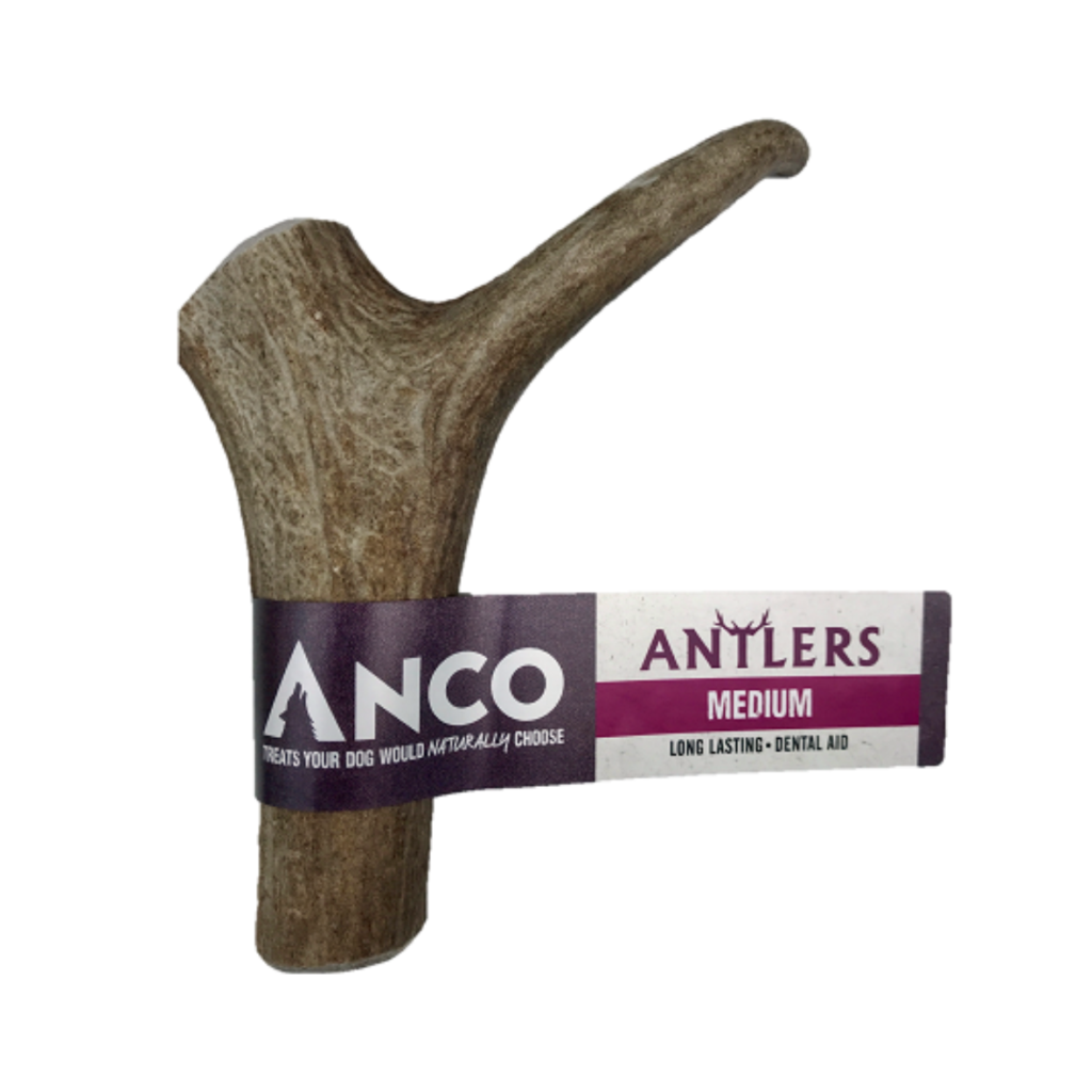 Natural Antler Chews Medium from the Cinnamon Trust Charity Webshop | Make a difference with every purchase