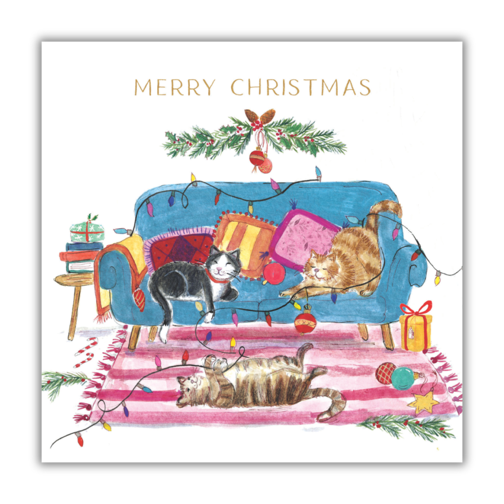 Cats Playful Christmas from the Cinnamon Trust Charity Webshop | Make a difference with every purchase