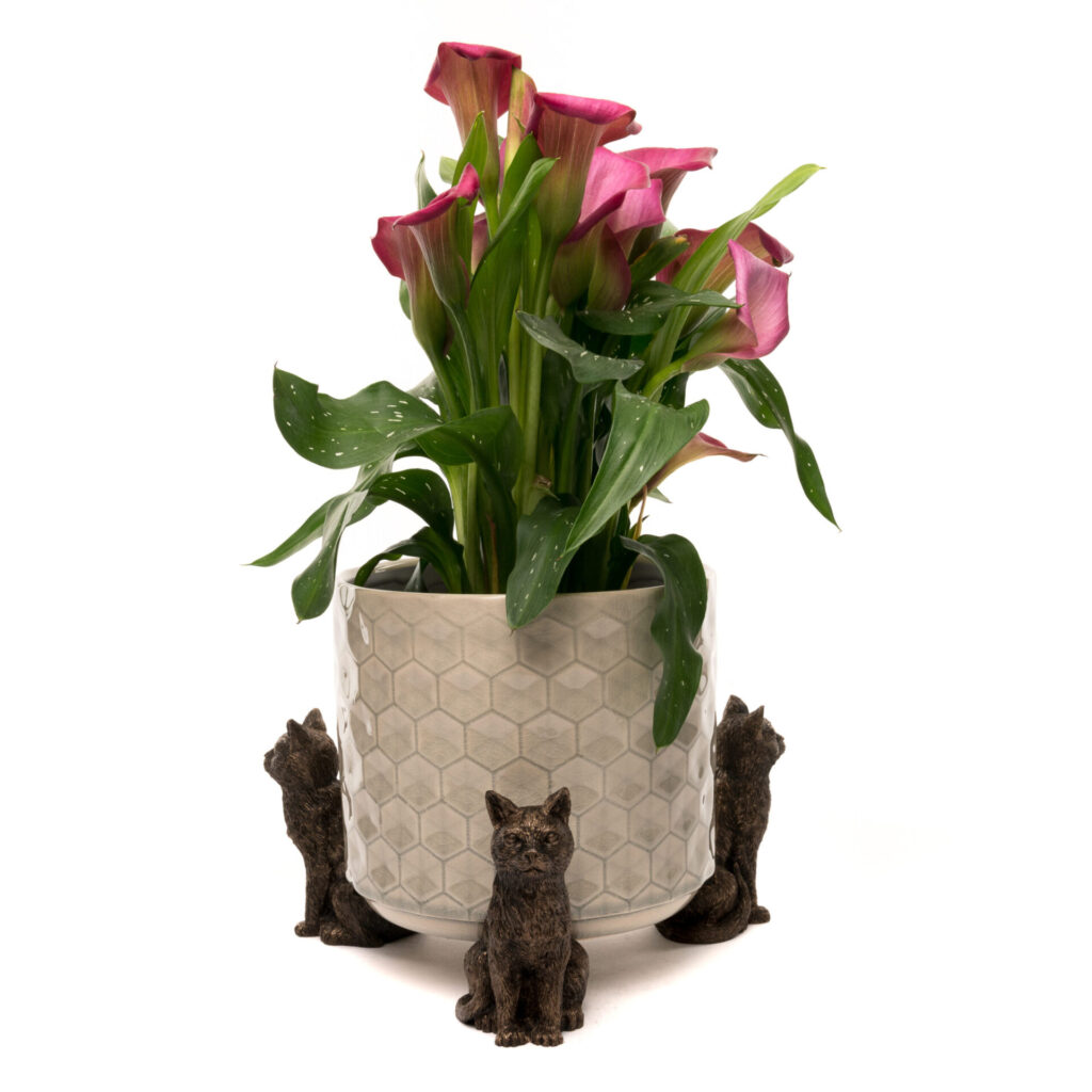 Potty Feet Cats from the Cinnamon Trust Charity Webshop | Make a difference with every purchase