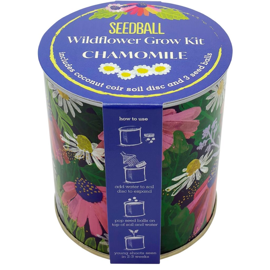 Wildflower Growing Kit Chamomile from the Cinnamon Trust Charity Webshop | Make a difference with every purchase