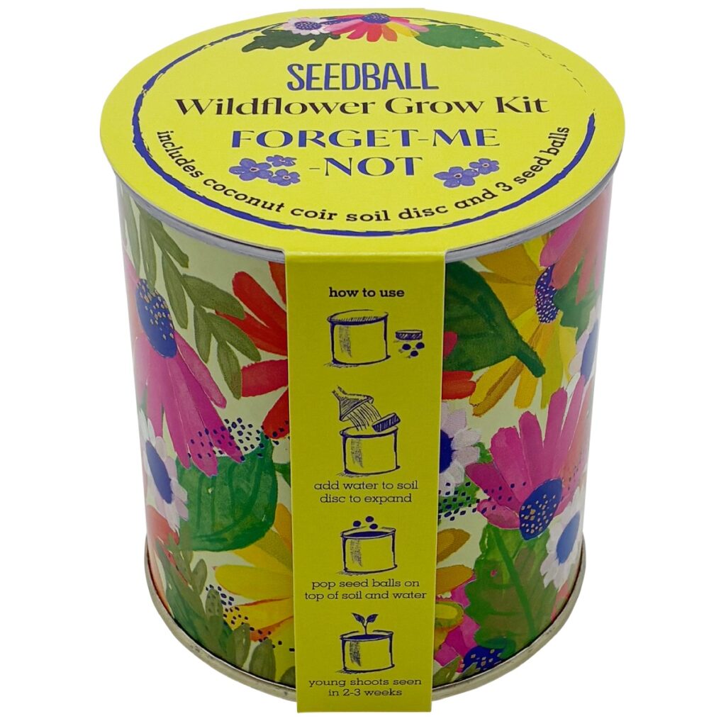 Wildflower Growing Kit Forget-Me-Not from the Cinnamon Trust Charity Webshop | Make a difference with every purchase