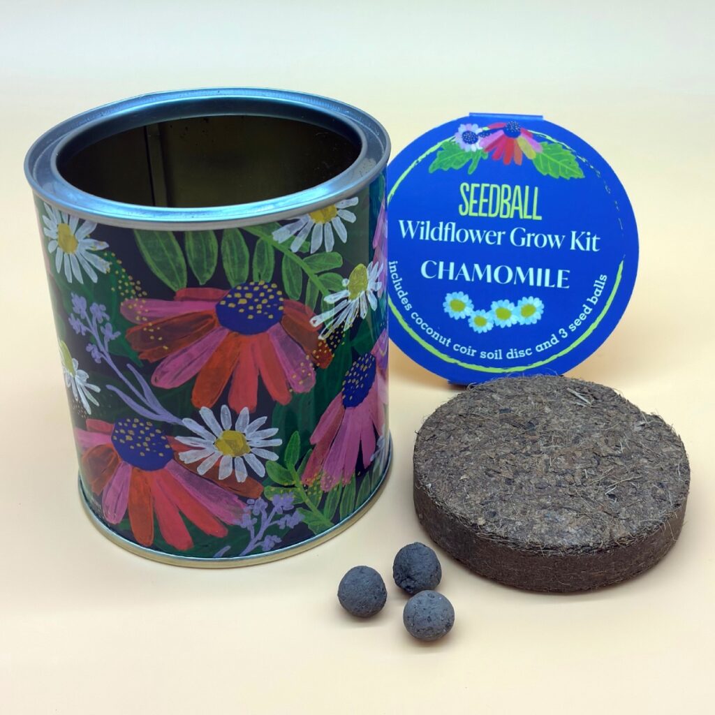 Wildflower Growing Kit Chamomile from the Cinnamon Trust Charity Webshop | Make a difference with every purchase