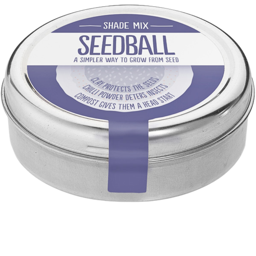 Seedball Shade Mix from the Cinnamon Trust Charity Webshop | Make a difference with every purchase