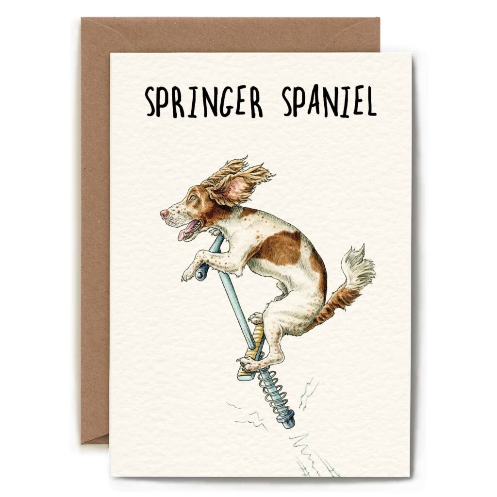 Springer Spaniel Card from the Cinnamon Trust Charity Webshop | Make a difference with every purchase