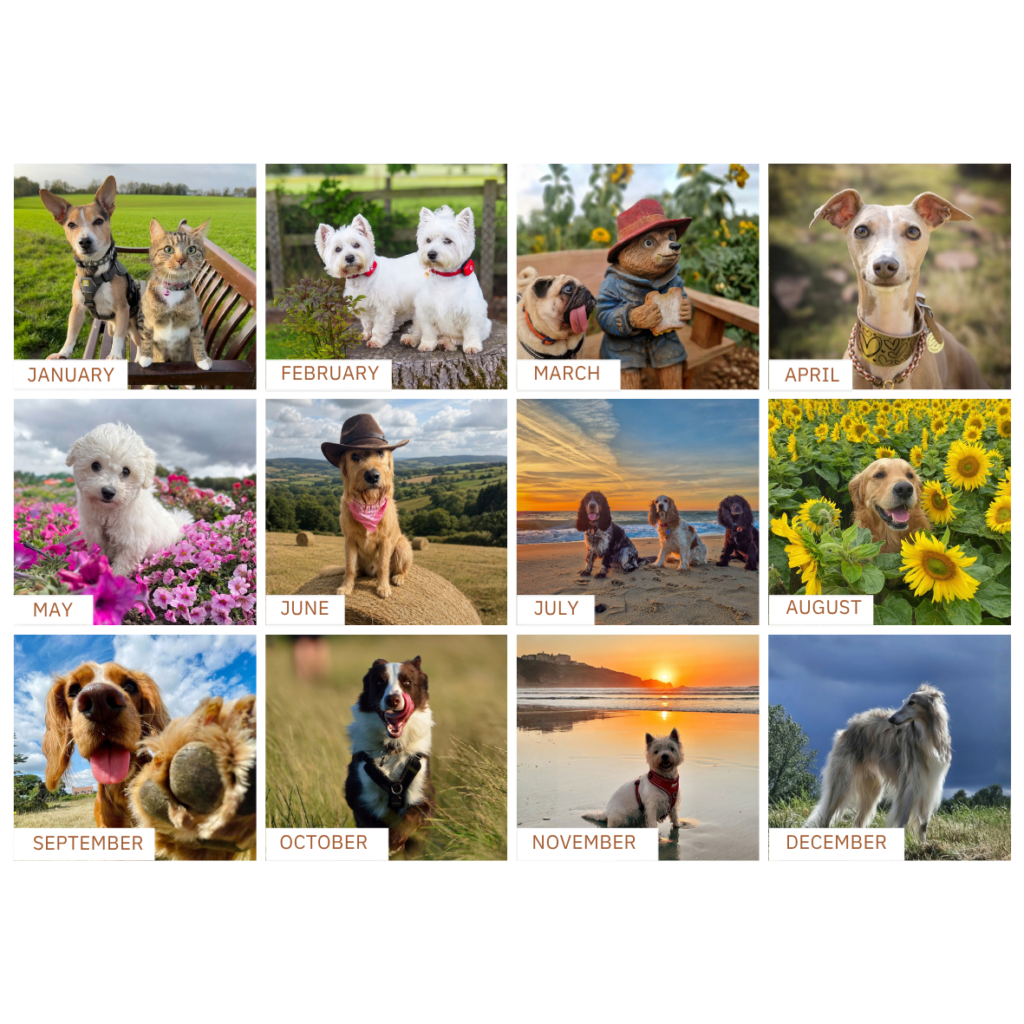 Cinnamon Trust Canine Calendar 2027 from the Cinnamon Trust Charity Webshop | Make a difference with every purchase